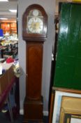 1930's Veneered Westminster Chimes Granddaughter Clock with Brass Face and Tempus Fugit