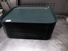 *green plastic trays x 25+. 450w x 350d