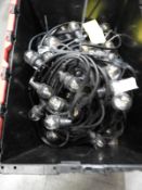 *Crate Containing 4x10m of Festoon Lighting with Clear LED Bulbs