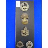 Five Assorted Cap Badges