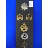 Six Assorted British Cap Badges