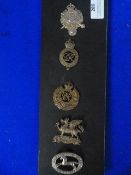 Five Assorted British Cap Badges