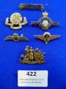 Commemorative Somme Badge and RAF, Navy , Royal British Legion, and St John Badges