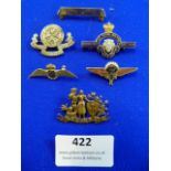 Commemorative Somme Badge and RAF, Navy , Royal British Legion, and St John Badges