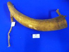 Antique Powder Horn