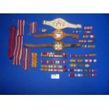 Job of of Medal Ribbons and Sargent Majors Rank Insignia