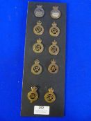 Ten Cap Badges - Lifeguards