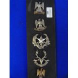 Five Assorted British Cap Badges