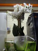 *Orchid Assortment in Pot