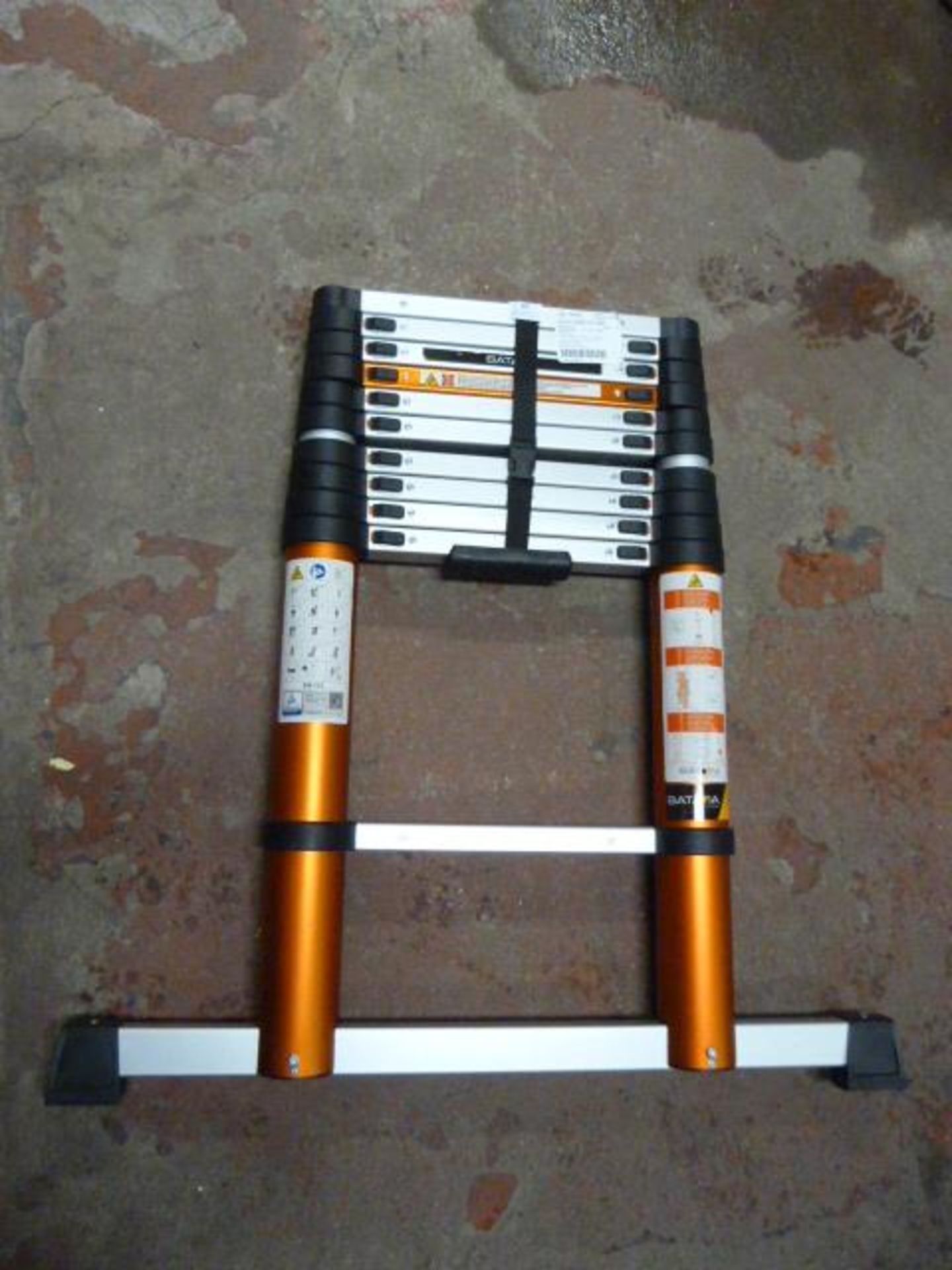 *Batavia Giraffe Air Ladder