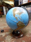 *Terrestrial Globe