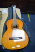 Antoria Classic Acoustic Guitar