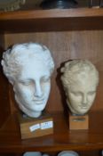 Two Busts of Greek Goddesses