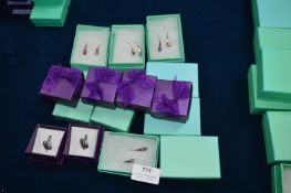 Fifteen Boxed Earrings and Ring