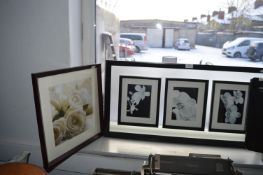 Framed Floral Photographs