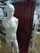 * male mannequin with glass base