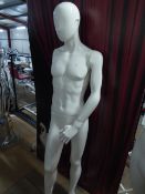* male mannequin with glass base