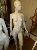 * female mannequin with glass base