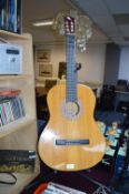 Encore Acoustic Guitar