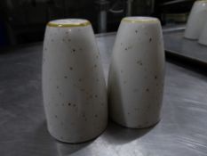 *35+ x speckled salt and pepper pots