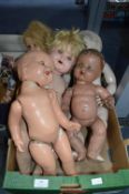 Five Vintage Dolls