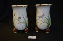 Two Chinese Hand Painted Vases