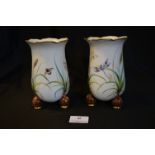 Two Chinese Hand Painted Vases