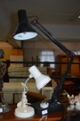 Two Desk Lamps