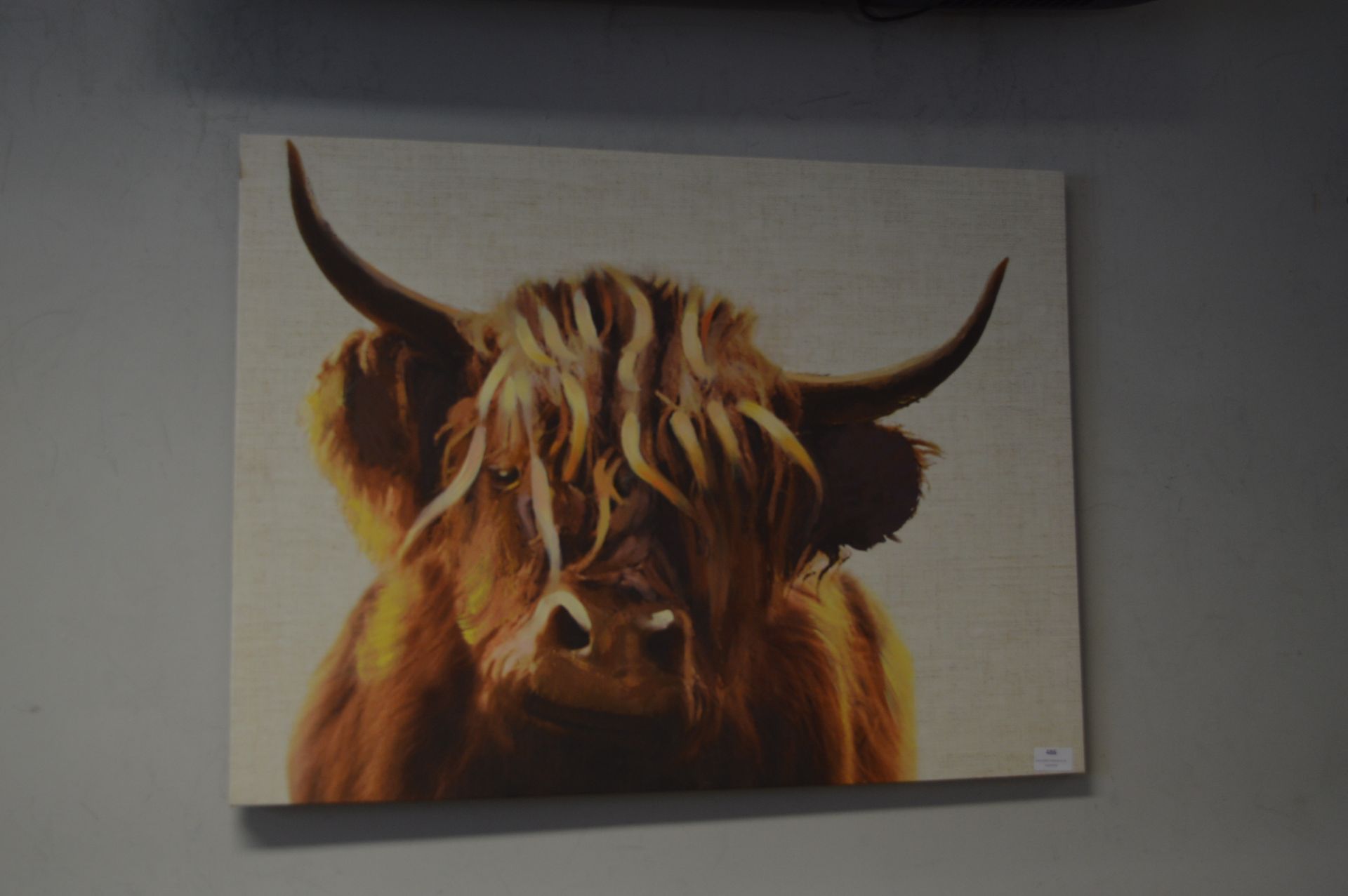 Canvas Wall Print of a Highland Cattle