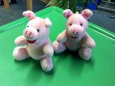 *pig teddies