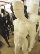 * mannequin - white/male/glass stand