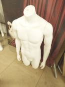 * mannequin - white/male/body