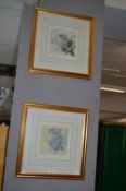 Two Gilt Framed Signed Prints by Caroline Jenkins