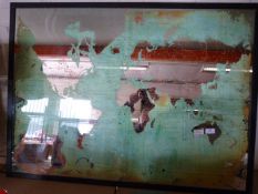 *Mirrored Map of the World