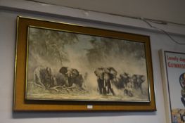 Framed David Shepherd Elephant Print
