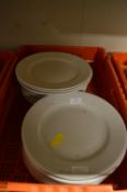 *~20 Large Dinner Plates