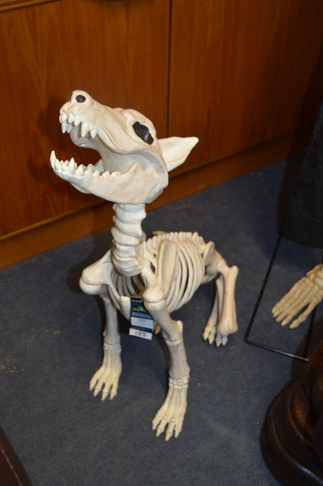 Halloween Wolf Skeleton