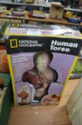 National Geographic Human Torso Model