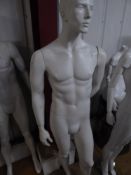 * white male mannequin with glass stand