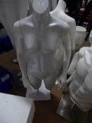 * female torso - no head - white base