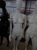 * white female mannequin - glass stand - unusual arms