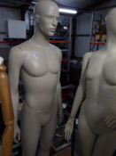 * stone male mannequin - glass stand