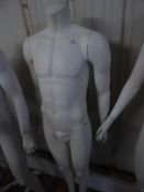 * white male mannequin - no head - glass stand