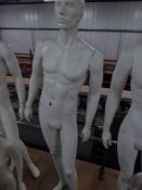 * white male mannequin - glass stand