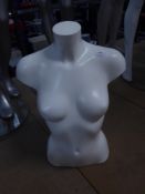 * white female torso