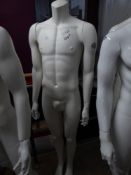 * white male mannequin - no head - glass stand