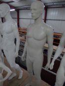 * stone male mannequin - glass stand