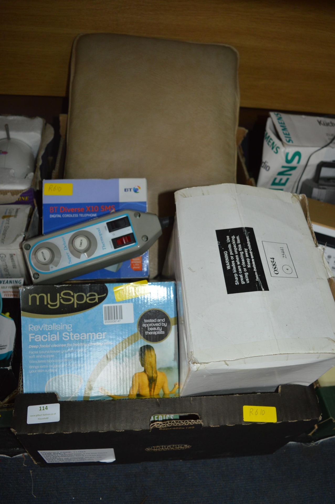 Box of Electrical Goods, Facial Steamers, etc.