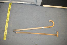 Two Walking Sticks