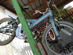 Apollo Sparkle Child's Bicycle